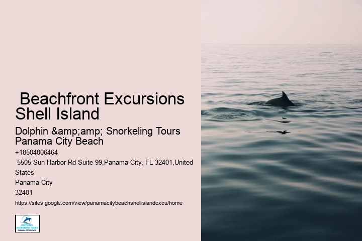  Beachfront Excursions Shell Island