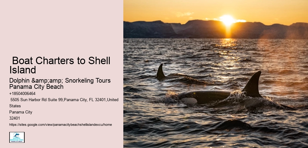  Boat Charters to Shell Island