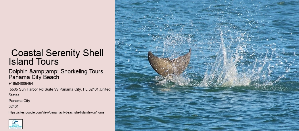  Shell Island Discovery Boat Charters