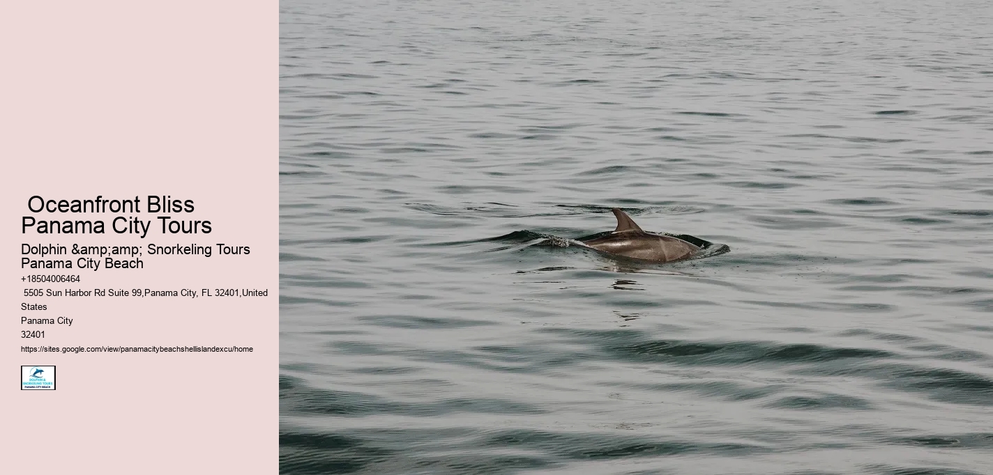  Oceanfront Bliss Panama City Tours