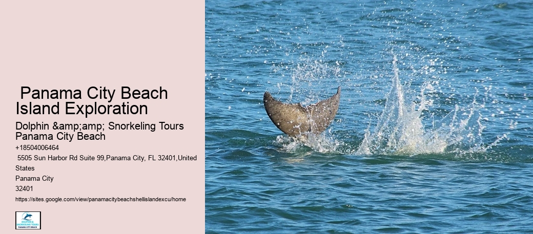 Shell Island Tours Panama City Beach Florida