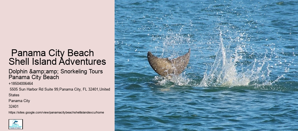 Shell Island Panorama Boat Trips
