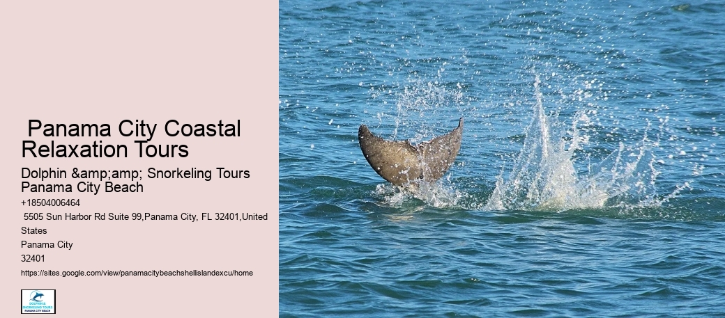  Shell Island Tours In Panama City Beach - Adventures At Sea