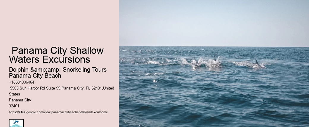  Panama City Shallow Waters Excursions